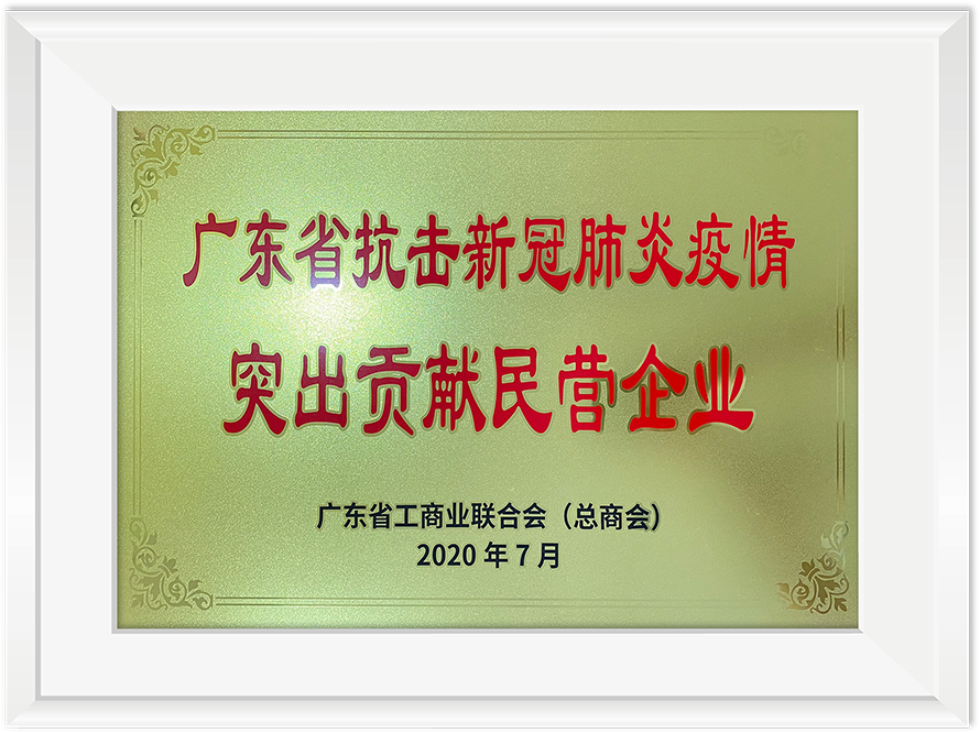 广东省抗击新冠肺炎疫情突出孝顺民营企业